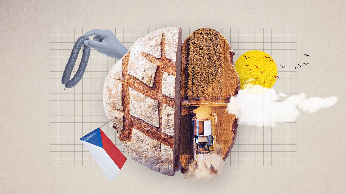 Překvapivé téma voleb: Jídlo musíme dovážet. Co zabírá česká pole?